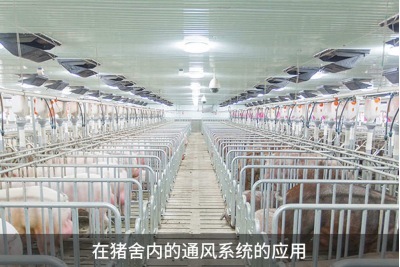 怎樣提高雞舍鴨舍豬舍養(yǎng)殖場的環(huán)境通風(fēng)效果？
